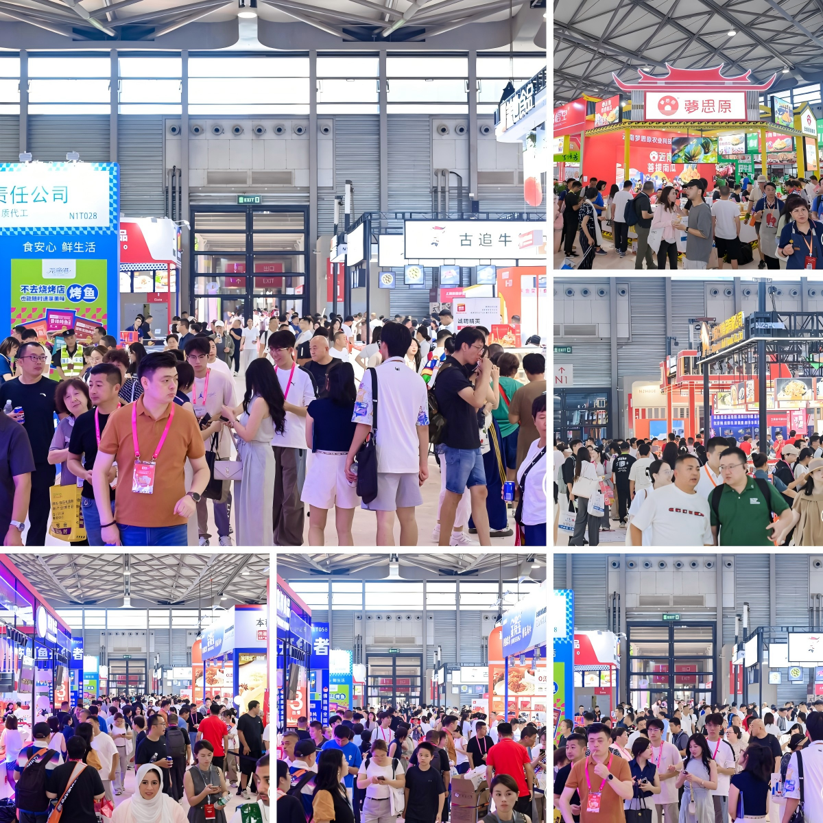 WPS拼图5.png